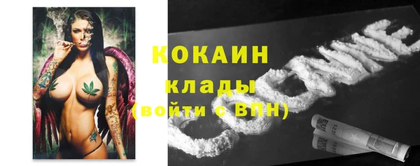 прущие крисы Алзамай