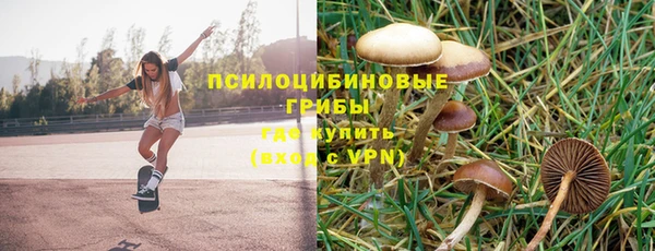 прущие крисы Алзамай