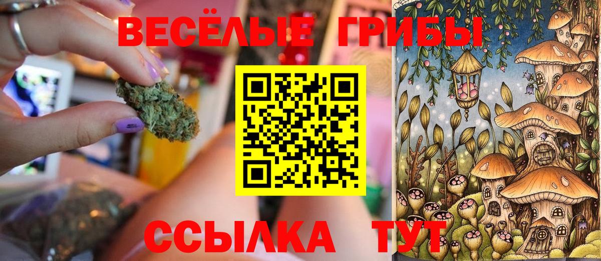 Галлюциногенные грибы мухоморы  где купить   Кудрово  Вход с VPN 